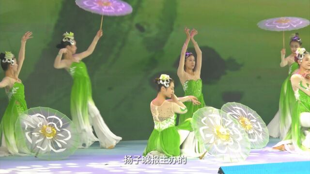 努力打造旅游民宿高质量发展的江苏样本, 江苏民宿高质量发展大会在句容举行!