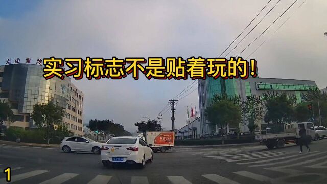 实习标志没白贴,这操作绝了