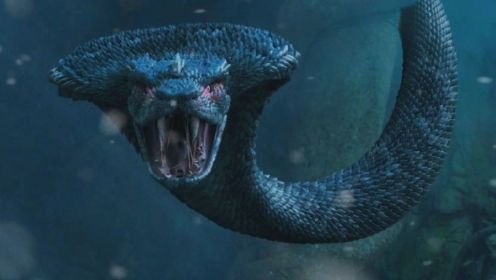 《巨兽狂蟒》传说食人岛上有蛇神守护，村民小树偶然闯入，一行人为了寻找不得不上岛，随之遇到了恐怖的巨蛇！
