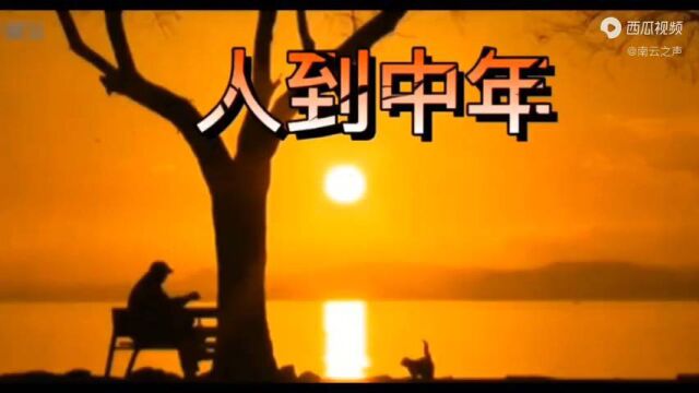 感悟——人到中年