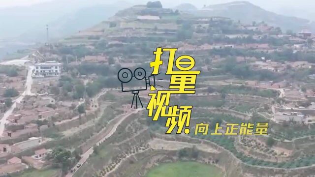 撂荒地变“致富田”!甘肃兰州荒山变果园,蜜桃首次迎挂果!