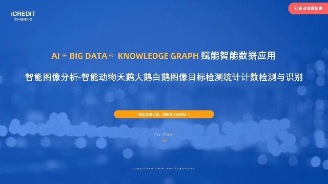 智能图像分析智能动物天鹅大鹅白鹅图像目标检测统计计数检测与识别艾科瑞特科技(iCREDIT)
