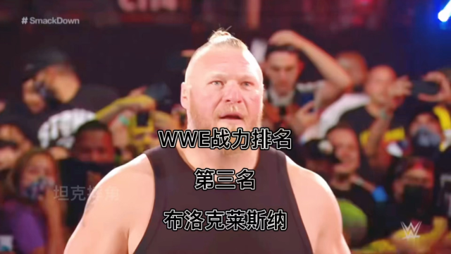 wwe战力排名(第三名)猛兽布洛克莱斯纳