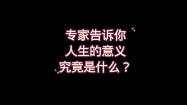 专家告诉你:人生的意义究竟是什么?