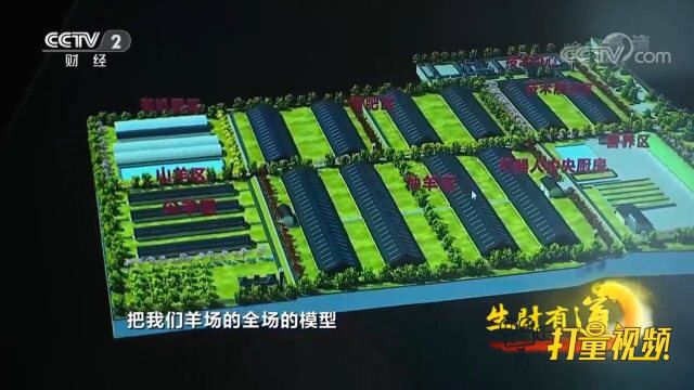 繁育基地严格按照高标准建造,更好地培育环县优良羊种