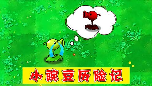 植物大战僵尸：小豌豆历险记回忆篇！