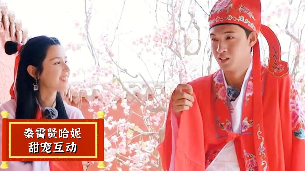 秦霄贤&哈妮克孜,老秦细微之处都是爱_腾讯视频