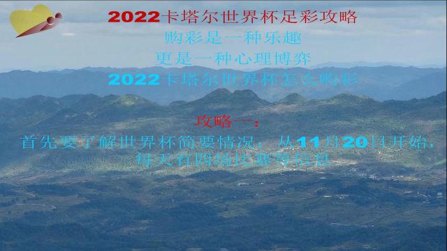 2022世界杯足彩攻略