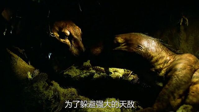 为了不让恐龙吃掉自己的幼崽,犬齿兽夫妇拼了,第1集