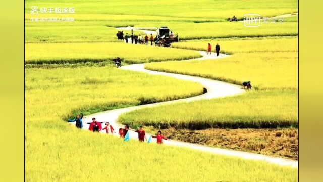 美丽的田野美丽的大地