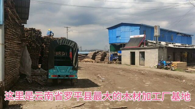 实拍云南省罗平县木材加工厂基地