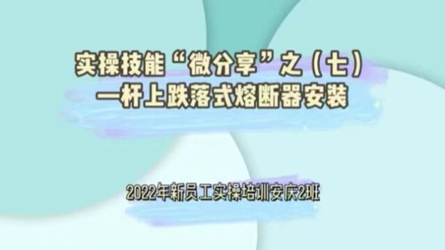 实操技能“微分享”之(七)杆上跌落式熔断器安装