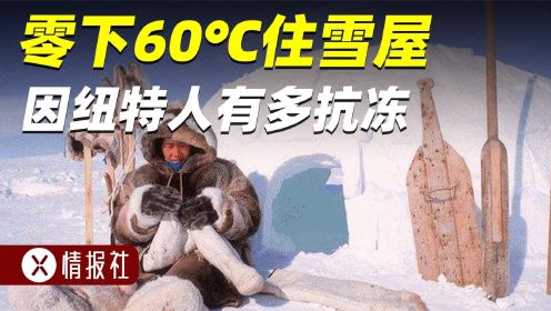 零下60℃，睡雪屋、吃海豹，因纽特人是怎么活下来的？