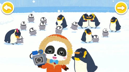 奇妙企鹅部落儿童游戏，帝企鹅学习滑行