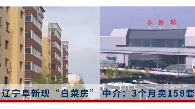 辽宁阜新现“白菜房”?中介:3个月卖158套,九成卖给外地人