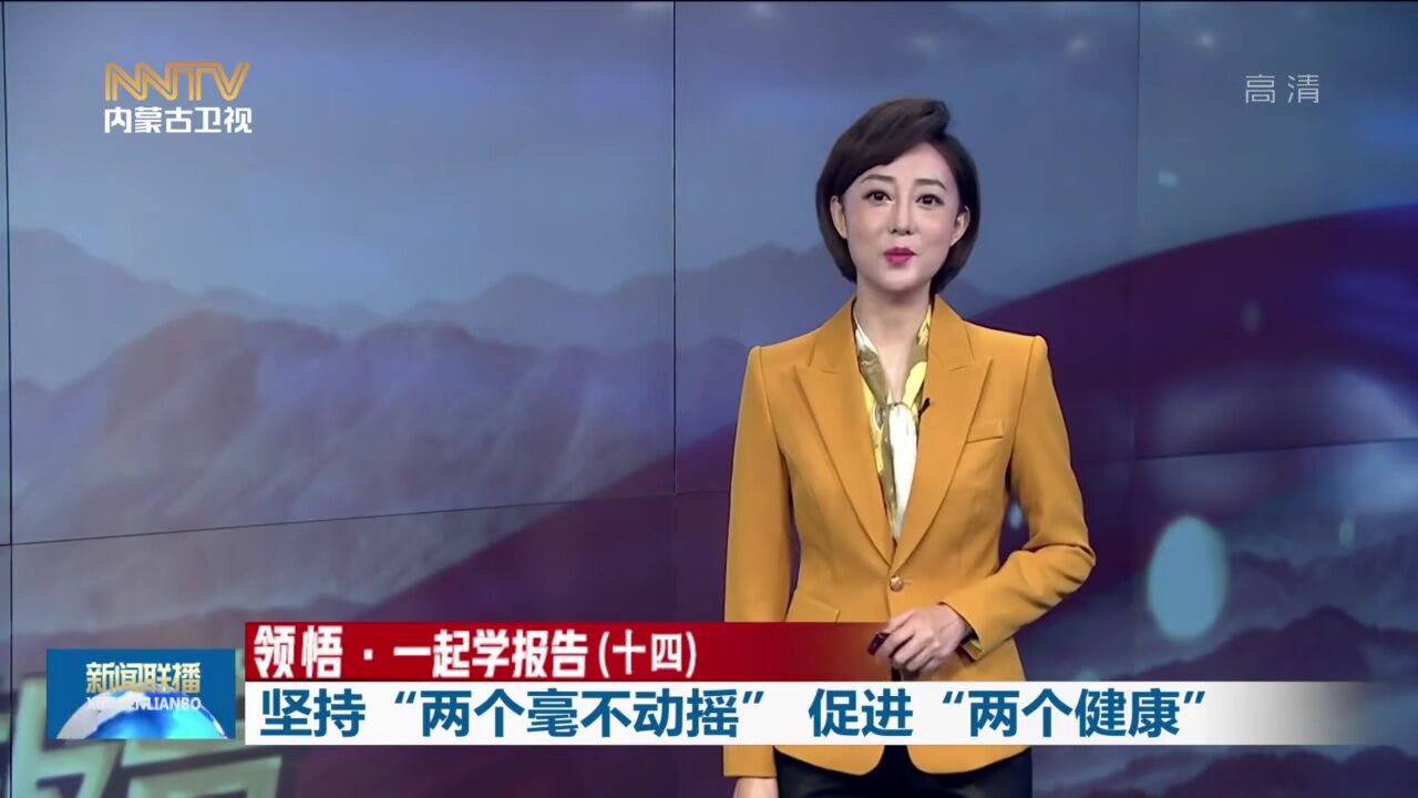 领悟·一起学报告（十四）|坚持“两个毫不动摇”促进“两个健康”_高清