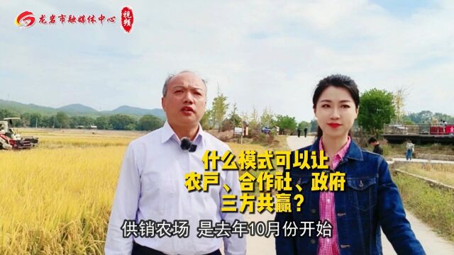 什么模式可以让农户、合作社、政府三方共赢?答案就在 #龙岩