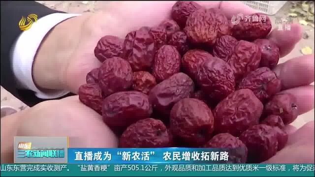 优质农产品搭上“直播快车”,销往全国各地,拓宽农民增收新路子