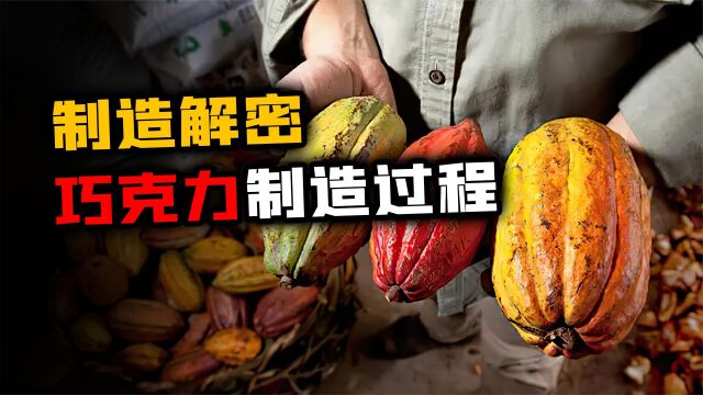 探访巧克力制造过程:先发酵后精炼,500颗可可豆只能做1磅巧克力