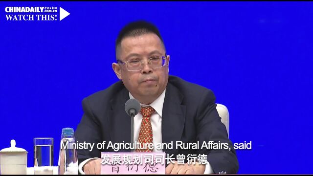 央媒看山东|中国日报关注山东庆云5.2万亩高产示范区玉米丰收