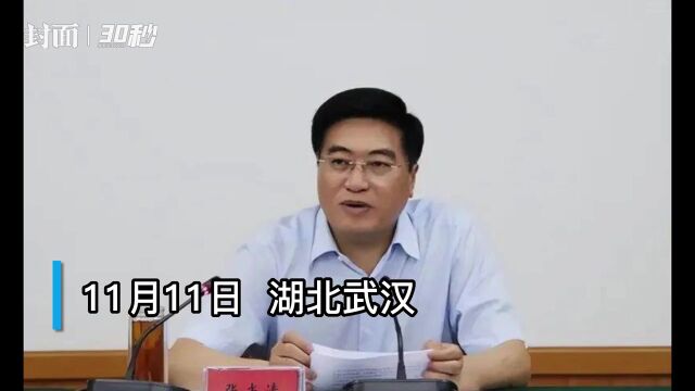 30秒|卸任多年后 主动投案 武汉原副市长张光清被查