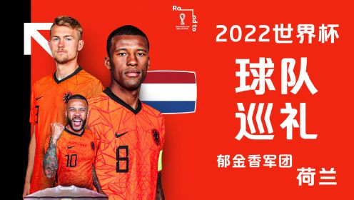 世界杯球队巡礼丨荷兰队坐拥豪华防线，郁金香能否重新绽放？