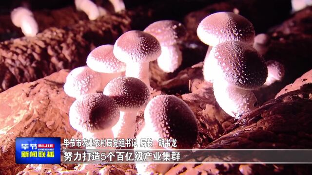 胡书龙:奋力谱写建设“农业强国”的毕节新篇章