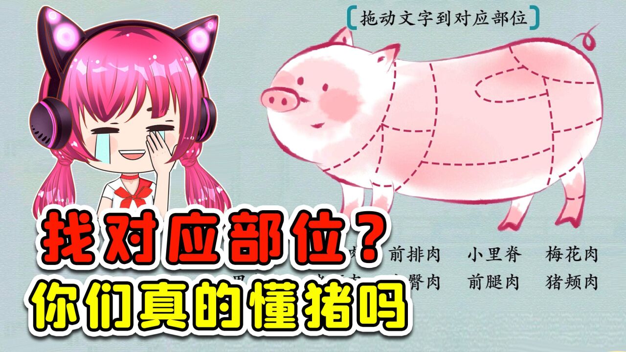 找对应部位!看到这头猪,我懵了!秀儿解说_高清1080P在线观看平台_腾讯视频