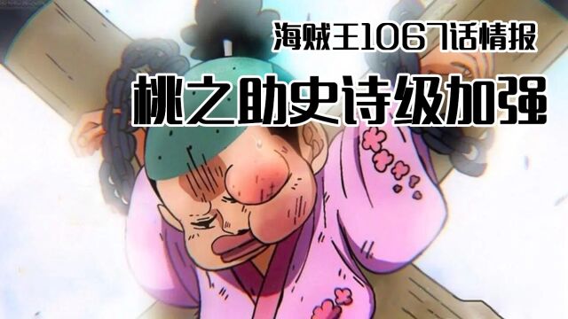 海贼王1067话情报:桃之助史诗级补丁加强,庞克成为第十人