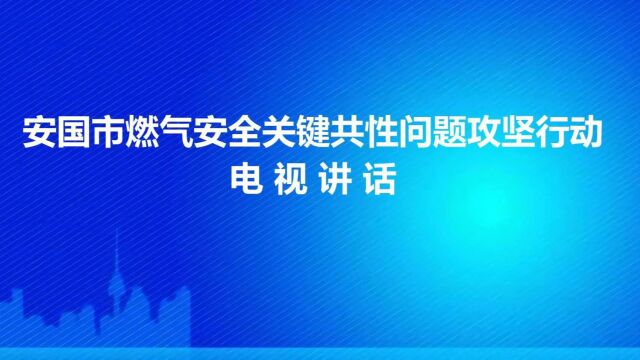 11.17沈市长燃气安全