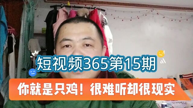 你就是只鸡!很难听却很现实(短视频365第15期)