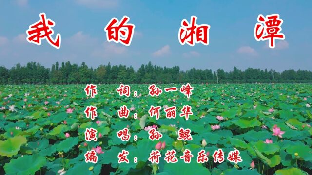 我的湘潭(词:孙一峰 曲:何丽华 演唱:孙鲲)