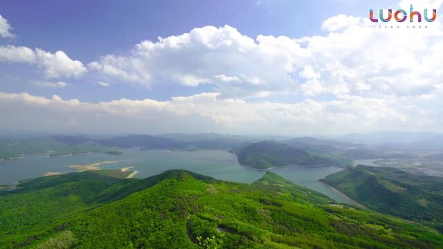 漫游罗湖 | 打破森林和城市的边界,这个世外桃源藏不住了