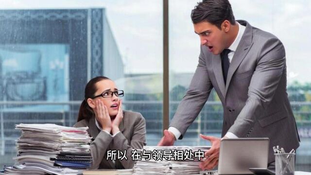 主打陌生人社交的综艺 五十公里桃花坞