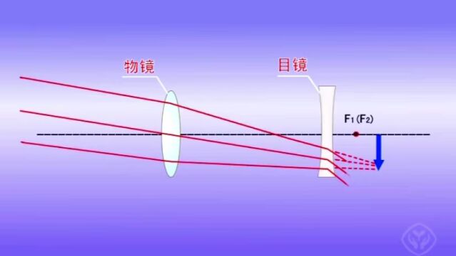 八年级物理视频学习资源:第五章《透镜及其应用》