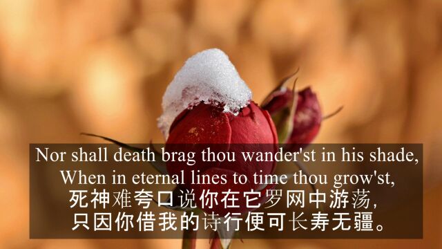 莎士比亚《十四行诗》第18首 Sonnet 18 by William Shakepeare