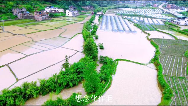 2022年初夏雨后一场大水