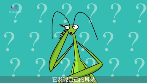 嗨起来！科普第14集：螳螂到底有耳朵吗？原来它的耳朵在两腿之间