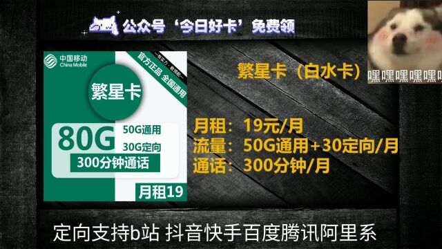 移动19元80G流量卡