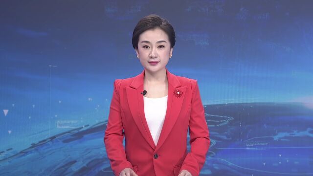 中国共产党绥芬河市第十一届委员会第三次全体会议举行分组讨论