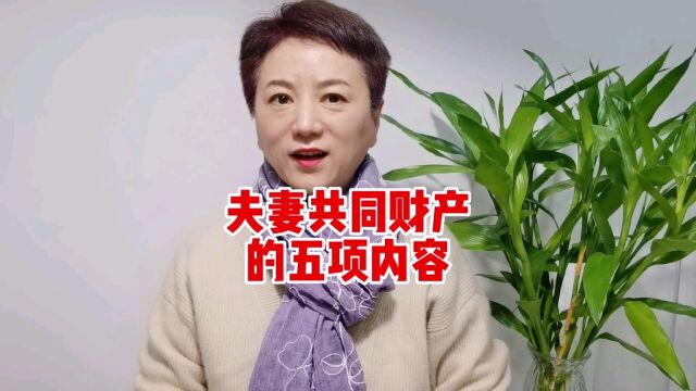 【李竹:财富传承与法律】夫妻共同财产的范围