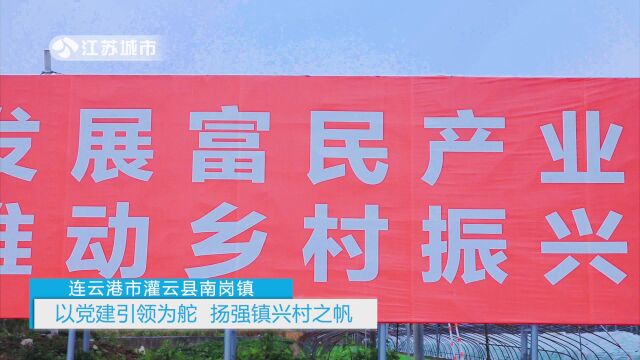 连云港灌云县南岗镇——以党建引领为舵 扬强镇兴村之帆