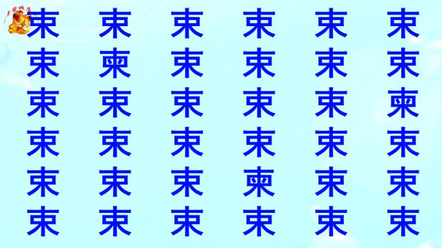 公务员眼力测试,束字里面有3个不同的字,5秒找到是高手