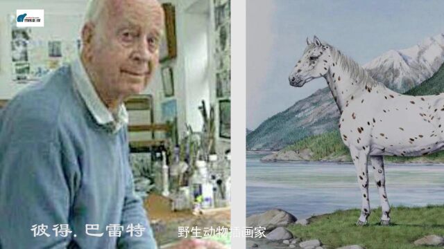 世界插画艺术介绍(第三集)弗雷迪.维托普、彼得.巴雷特