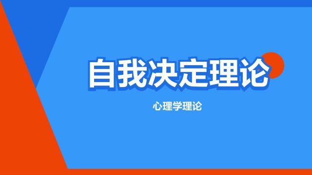 “自我决定理论”是什么意思?