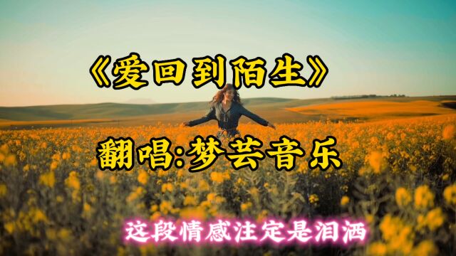 一首全网超火的伤感歌曲《爱回到陌生》歌词伤感句句入心,百听不厌,感谢大家的支持和聆听