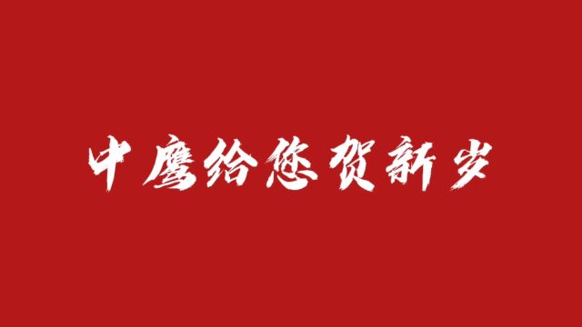 中鹰集团给您贺新岁 鼠牛虎三年不易, 沉淀勇毅大格局,生命喜悦不止歇,兔跃腾飞迎新年.