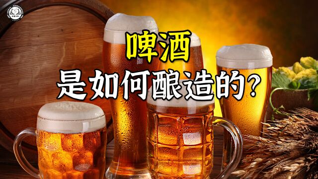 啤酒是如何酿造的?先将黑麦芽倒进原料罐,再提取出麦芽汁并发酵