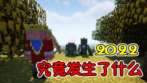 【MC】2022年，我们都经历了些什么？