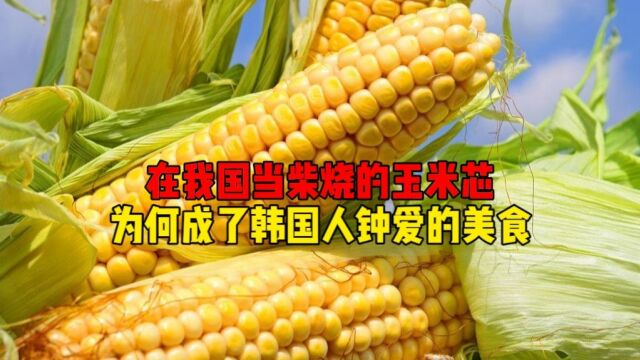 玉米芯的双面人生,被我们当柴烧,却是韩国人民追捧的美食!